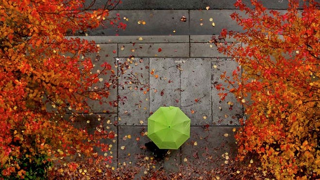 Fall Colors